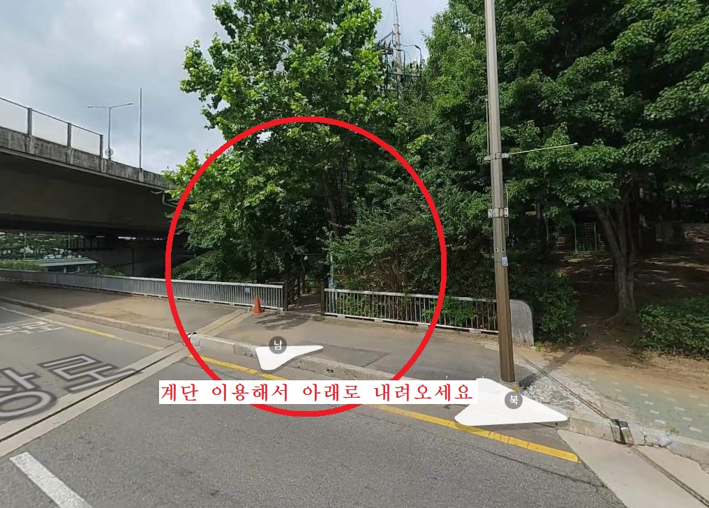 농수산물시장에서 오는길.jpg